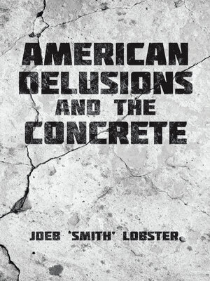 cover image of American Delusions and the Concrete
